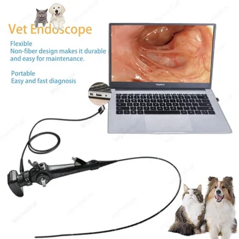 Ветеринарный Гибкий Видеоэндоскоп Для Клиники Домашних Животных USB Цифровой Эндоскоп Для Животных Встроенный Источник света Может Подключать Компьютер