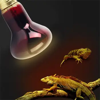 Красная нагревательная лампа для домашних животных E27 День Ночь для амфибий, змей, лампа для рептилий, лампа для ультрафиолетового излучения 25 Вт, 50 Вт, 100 Вт, 220-240 В переменного тока