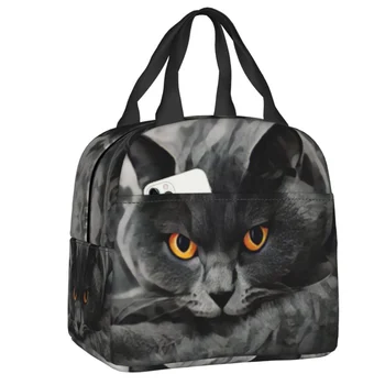 Ланч-бокс для британской короткошерстной кошки, теплый охладитель, Термоизолированная сумка для ланча для женщин, Переносной контейнер для школьного пикника